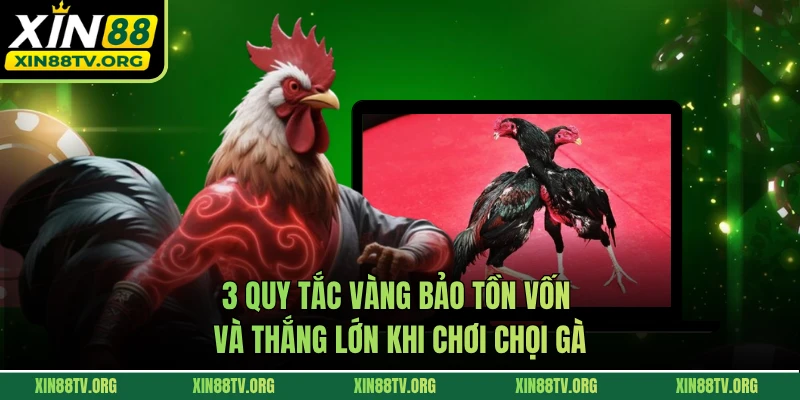 3 quy tắc vàng bảo tồn vốn và thắng lớn khi chơi chọi gà