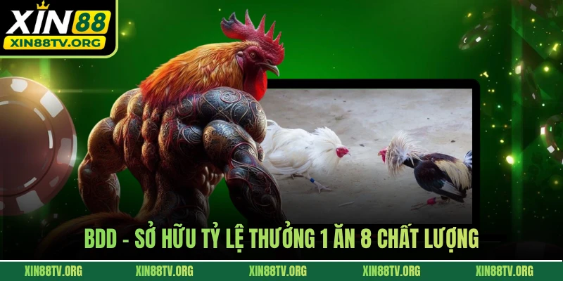BDD - Sở hữu tỷ lệ thưởng 1 ăn 8 chất lượng