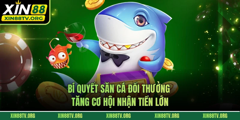 Bí quyết săn cá đổi thưởng tăng cơ hội nhận tiền lớn