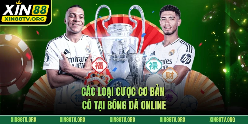 Các loại cược cơ bản có tại bóng đá online