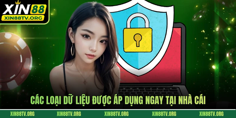 Các loại dữ liệu được áp dụng ngay tại nhà cái