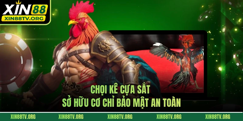 Chọi kê cựa sắt sở hữu cơ chỉ bảo mật an toàn
