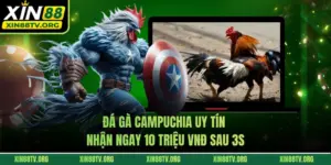 Đá Gà Campuchia Uy Tín - Nhận Ngay 10 Triệu VNĐ Sau 3s