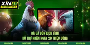 Đá Gà Đòn Kịch Tính - Hỗ Trợ Nhận Ngay 20 Triệu Đồng