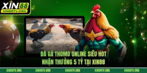 Đá Gà Thomo Online Siêu HOT: Nhận Thưởng 5 Tỷ Tại Xin88