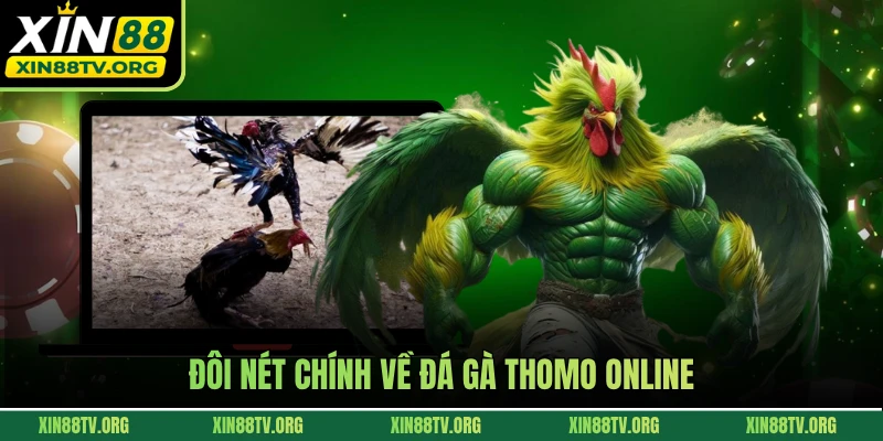 Đôi nét chính về đá gà Thomo online