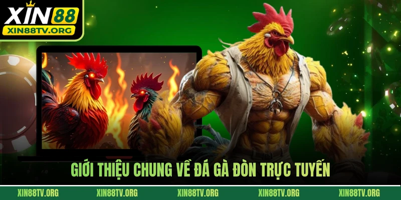Giới thiệu chung về đá gà đòn trực tuyến 