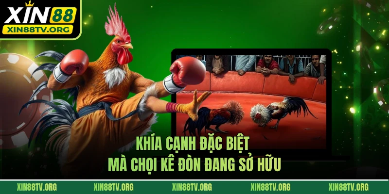 Khía cạnh đặc biệt mà chọi kê đòn đang sở hữu
