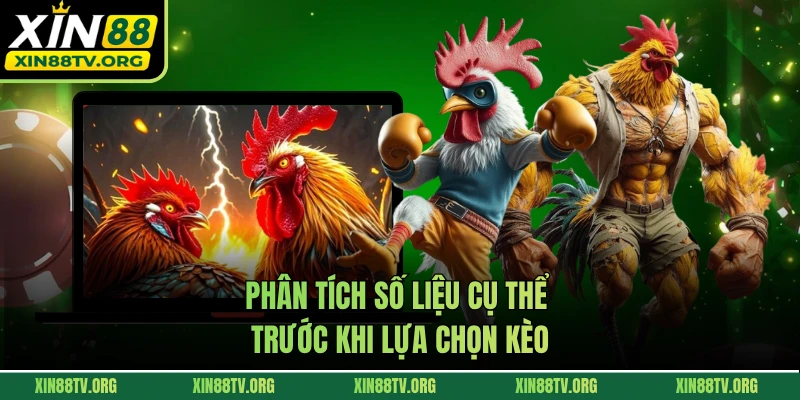 Phân tích số liệu cụ thể trước khi lựa chọn kèo